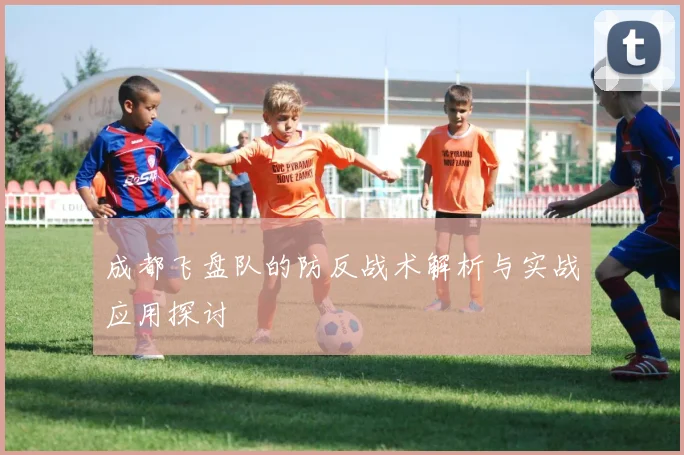 成都飞盘队的防反战术解析与实战应用探讨